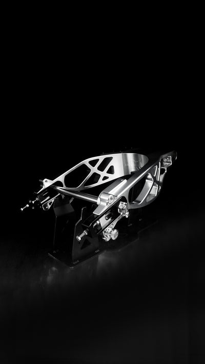 Swingarm RR Style for Harley-Davidson Touring 2009+