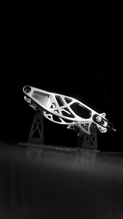 Swingarm RR Style for Harley-Davidson Touring 2009+