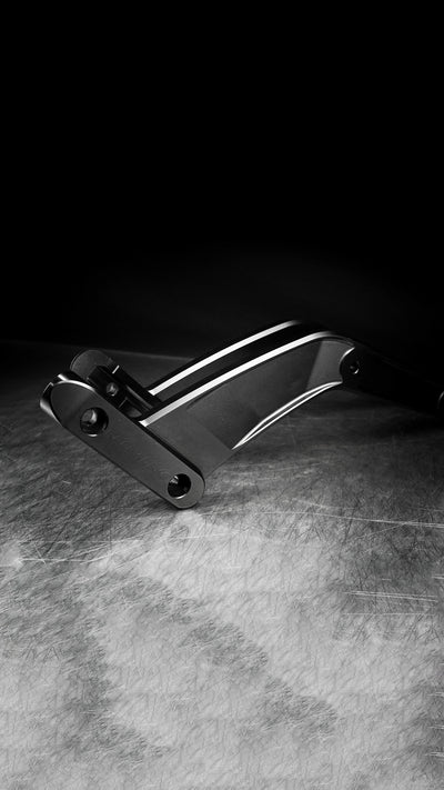 Rear Fender Struts V1.1 for Harley-Davidson Fat Bob 2018+