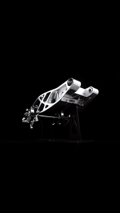 Swingarm RR Style for Harley-Davidson Touring 2009+