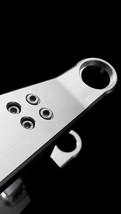 Swingarm V2.2 for Harley-Davidson Sportster 2004–2022
