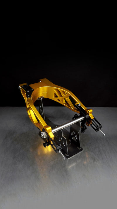 Swingarm RR Style for Harley-Davidson Touring 2009+