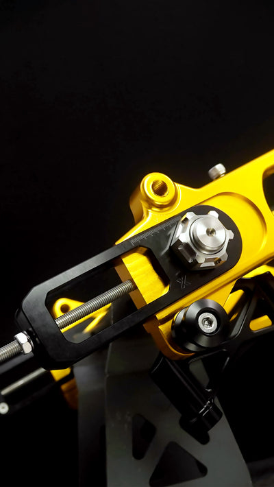 Swingarm RR Style for Harley-Davidson Touring 2009+