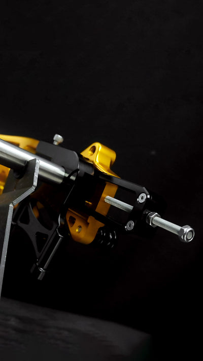 Swingarm RR Style for Harley-Davidson Touring 2009+
