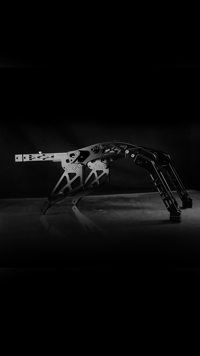 Subframe for Harley-Davidson Touring 2009+