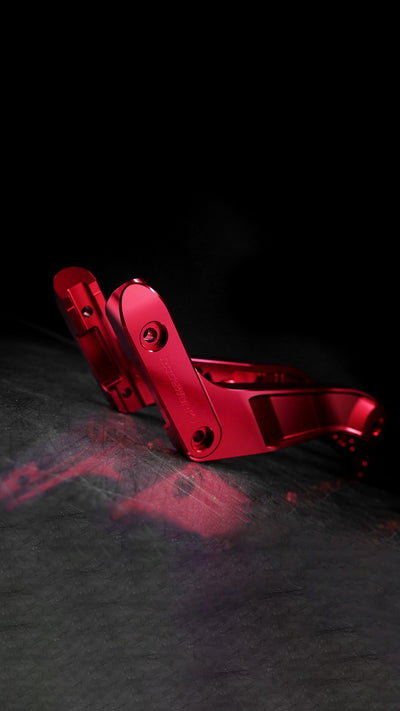 Rear Fender Struts V1.1 with Tail Light Cutout for Harley-Davidson Low Rider 2018+