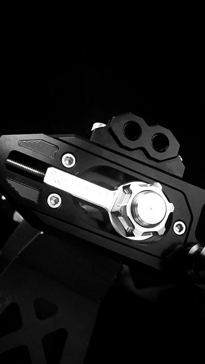 Swingarm V2.2 for Harley-Davidson Sportster 2004–2022