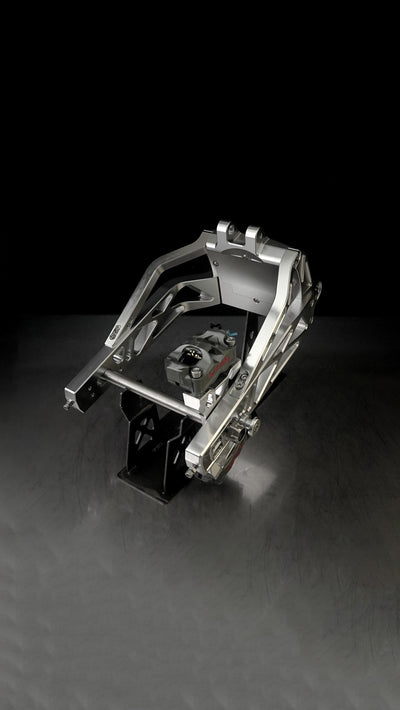 Swingarm V1 for Harley-Davidson Softail 2018+