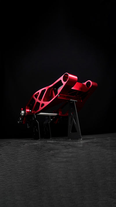 Swingarm RR Style for Harley-Davidson Touring 2009+