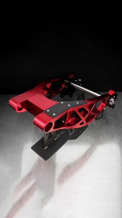 Swingarm RR Style for Harley-Davidson Touring 2009+