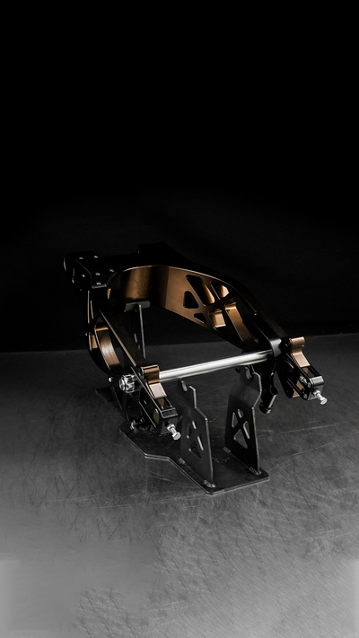Swingarm RR Style for Harley-Davidson Touring 2009+
