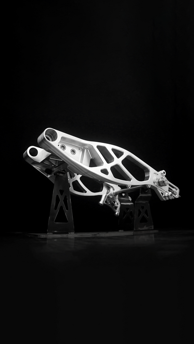 Swingarm RR Style for Harley-Davidson Touring 2009+