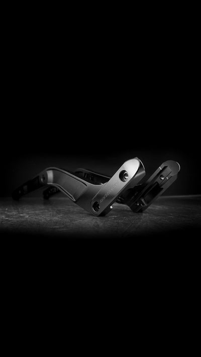 Rear Fender Struts V1.1 with Tail Light Cutout for Harley-Davidson Low Rider 2018+