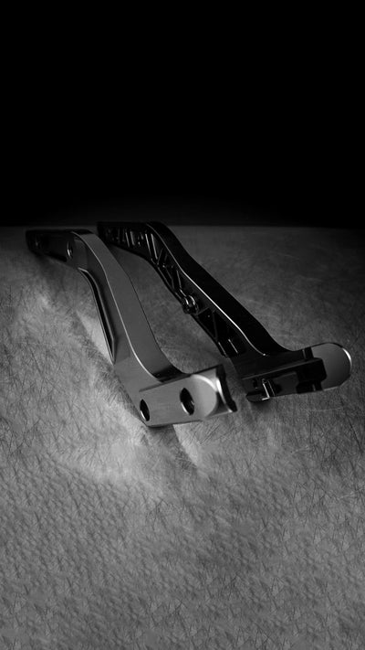 Rear Fender Struts V1.1 with Tail Light Cutout for Harley-Davidson Low Rider 2018+