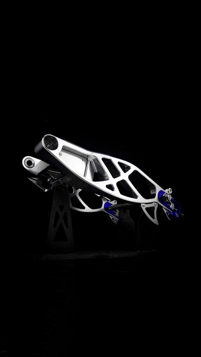 Swingarm RR Style for Harley-Davidson Touring 2009+