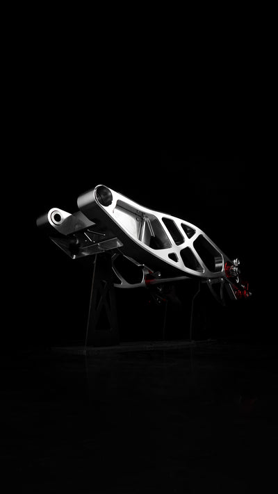 Swingarm RR Style for Harley-Davidson Touring 2009+