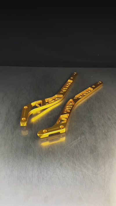 Rear Fender Struts V1.2 with Tail Light Cutout for Harley-Davidson Low Rider 2018+